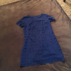 Ann Taylor Royal Blue Lace Dress